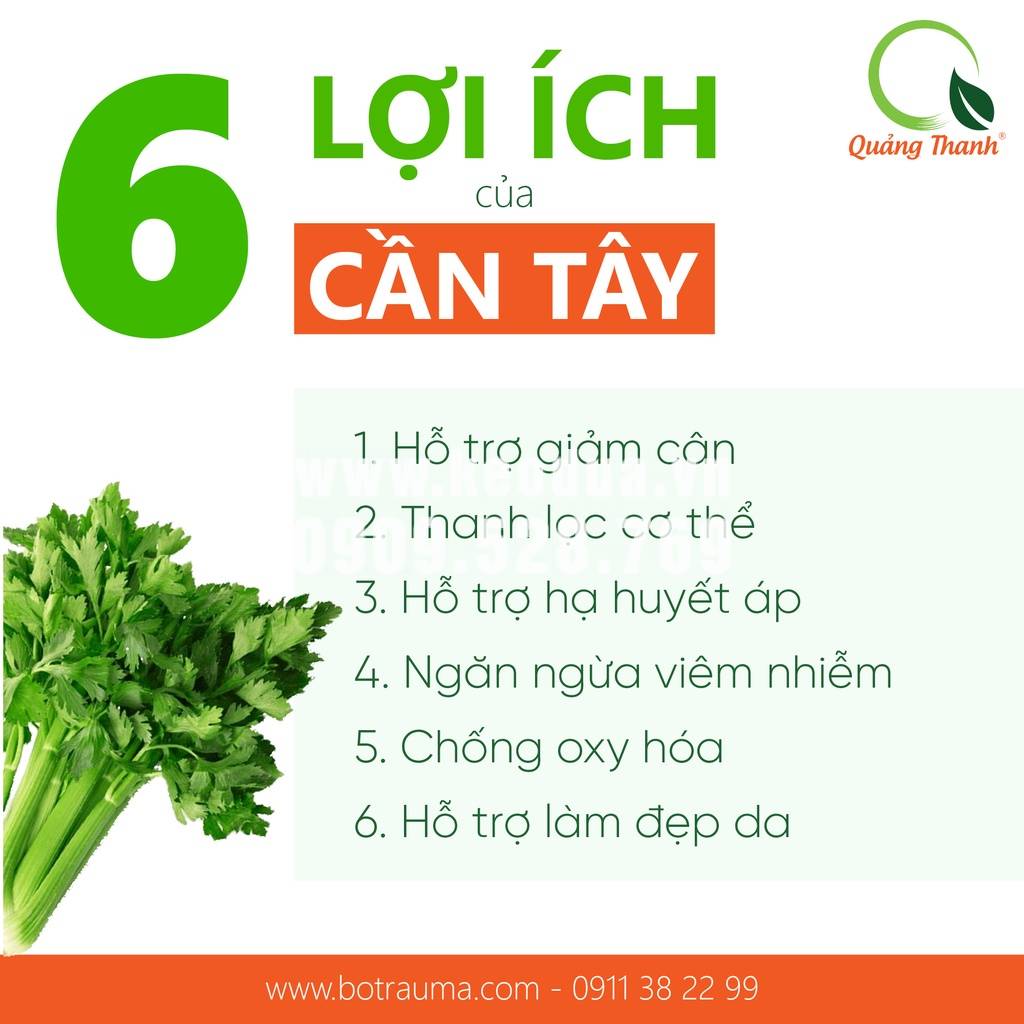 Hộp bột cần tây nguyên chất Quảng Thanh (15góix3g) Hộp bột cần tây nguyên chất Quảng Thanh (15góix3g)